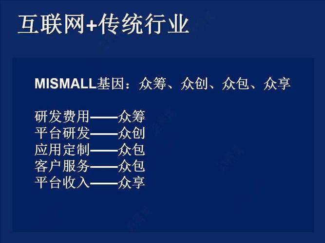 软件开发-极速企业应用定制云互联网传播产品推广策划方案 - 海量品牌